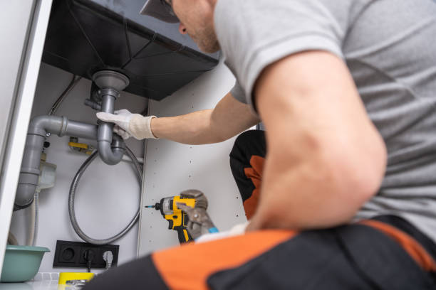 Best Plumbing System Maintenance  in Forest Oaks, NC